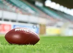 爱游戏网页版 - 鹰隼大队第二部叫什么 